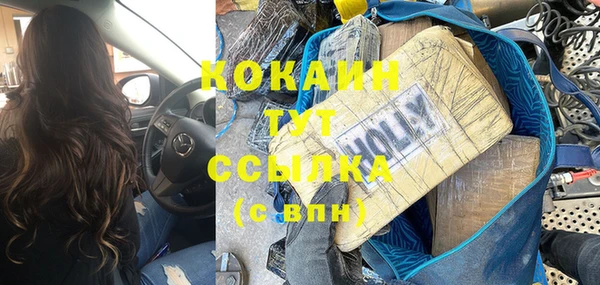 прущая мука Арсеньев