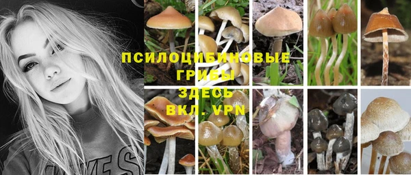 марки lsd Аркадак
