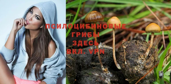 Альфа ПВП Ачинск