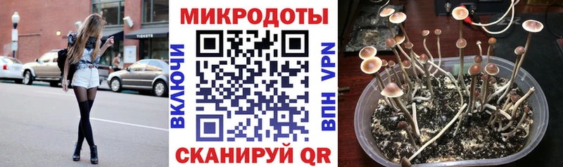 Галлюциногенные грибы мицелий  hydra зеркало  Баксан 